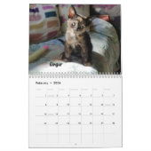 あなたのハートを溶かす – MEOW 2020 Kitten Calendar カレンダー (2月 2026)