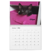あなたのハートを溶かす – MEOW 2020 Kitten Calendar カレンダー (1月 2026)