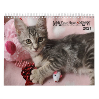 あなたのハートを溶かす – MEOW 2021 Kitten Calendar カレンダー