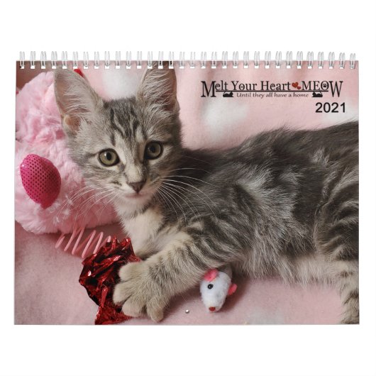 あなたのハートを溶かす – MEOW 2021 Kitten Calendar カレンダー (カバー)