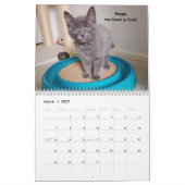 あなたのハートを溶かす – MEOW 2021 Kitten Calendar カレンダー (3月 2027)