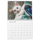 あなたのハートを溶かす – MEOW 2021 Kitten Calendar カレンダー (1月 2027)
