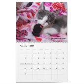 あなたのハートを溶かす – MEOW 2021 Kitten Calendar カレンダー (2月 2027)