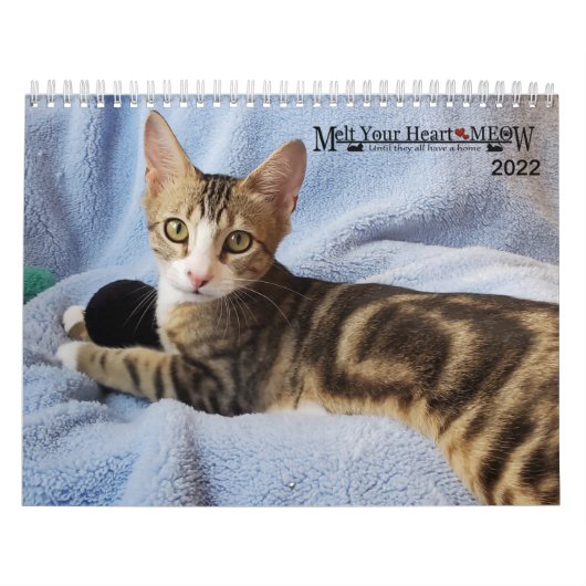 あなたのハートを溶かす – MEOW 2022 Kitten Calendar カレンダー (カバー)