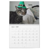 あなたのハートを溶かす – MEOW 2022 Kitten Calendar カレンダー (3月 2027)