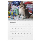 あなたのハートを溶かす – MEOW 2022 Kitten Calendar カレンダー (1月 2027)