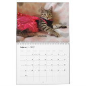 あなたのハートを溶かす – MEOW 2022 Kitten Calendar カレンダー (2月 2027)
