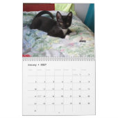 あなたのハートを-猫の鳴き声の2016年の子ネコのカレンダー溶かして下さい カレンダー (1月 2027)