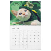 あなたのハートを-猫の鳴き声の2018年の子ネコのカレンダー溶かして下さい カレンダー (3月 2027)