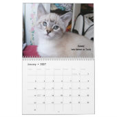 あなたのハートを-猫の鳴き声の2018年の子ネコのカレンダー溶かして下さい カレンダー (1月 2027)