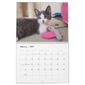 あなたのハートを-猫の鳴き声の2018年の子ネコのカレンダー溶かして下さい カレンダー (2月 2027)