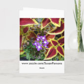 あなたのピンクのコリウスの友人か考えること カード (裏面)