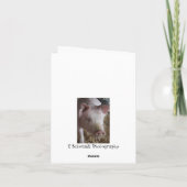 あなたのブタの考えることは梳きます カード (裏面)