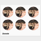 あなたのベビー写真とベビーガールのシール ラウンドシール (シート)