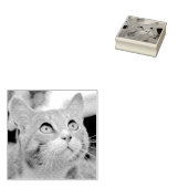 あなたのペットのエッチング |写真からエッチング |カスタム ラバースタンプ (押印)