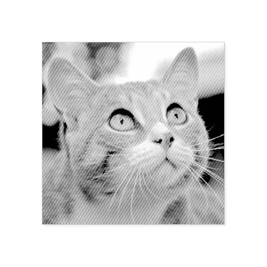 あなたのペットのエッチング |写真からエッチング |カスタム ラバースタンプ (インプリント)