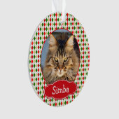 あなたのペットのクリスマスオーナメントハーレクイン オーナメント (正面)