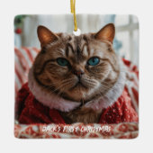 あなたのペットの写真で作る楽しいクリスマス セラミックオーナメント (正面)