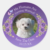 あなたのペットの写真を保存, 日付を保存, 紫色の藤の花 ラウンドシール (正面)