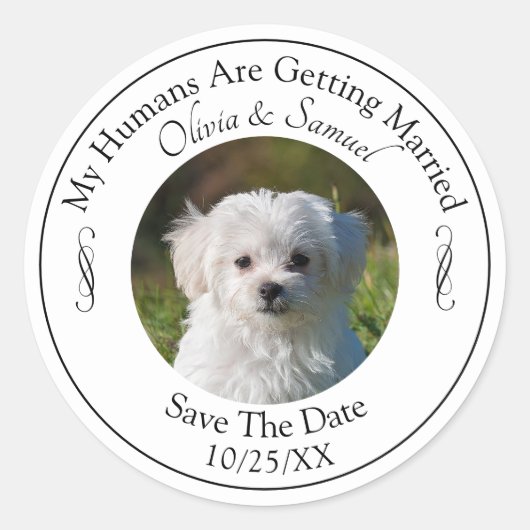 あなたのペットの写真を投稿しよう! Save The Date, 白黒 ラウンドシール (正面)