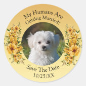 あなたのペットの写真を飾って、特別な日を記念しよう。ゴールデンイエローの花 ラウンドシール (正面)