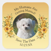 あなたのペットの写真を飾って、特別な日を記念しよう - ゴールドイエローの花 スクエアシール (正面)