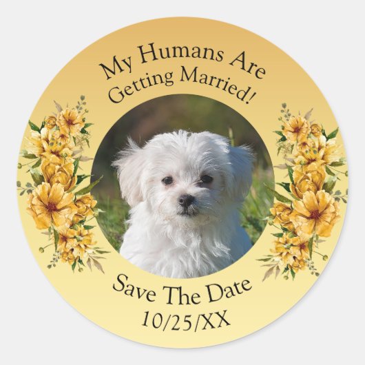 あなたのペットの写真を飾って、特別な日を記念しよう - ゴールドイエローの花 ラウンドシール (正面)