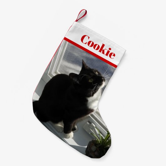 あなたのペットの写真クリスマスストッキングの名前 スモールクリスマスストッキング (正面 (吊り時))