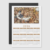 あなたのペットの写真入りマグネットカレンダー 2026年 (正面/裏面)