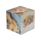 あなたのペットの雰囲気:カスタムフォトキューブ フォトキューブ (正面アングル)