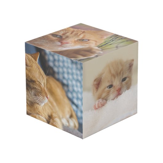 あなたのペットの雰囲気:カスタムフォトキューブ フォトキューブ (正面アングル)