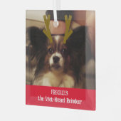 あなたのペットはウェットノーズのトナカイのペットの写真 ガラスオーナメント (正面左)