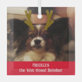 あなたのペットはウェットノーズのトナカイのペットの写真 ガラスオーナメント (正面)