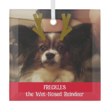 あなたのペットはウェットノーズのトナカイのペットの写真