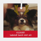 あなたのペットはウェットノーズのトナカイのペットの写真 ガラスオーナメント (裏面)