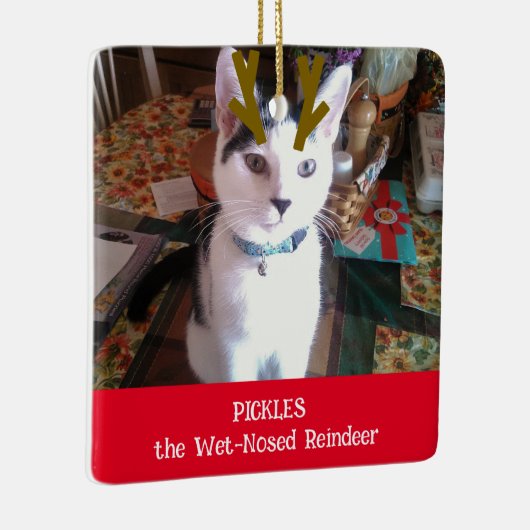 あなたのペットはウェットノーズのトナカイのペットの写真 セラミックオーナメント (右)