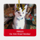 あなたのペットはウェットノーズのトナカイのペットの写真 セラミックオーナメント (正面)
