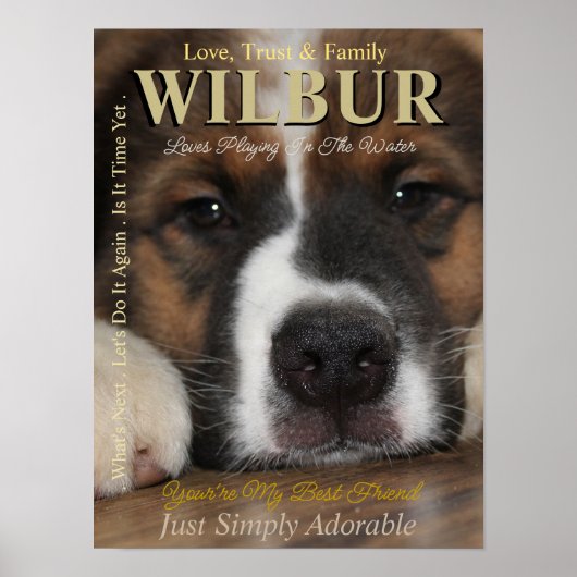 あなたのペットを雑誌のポスターのスターにする ポスター (正面)