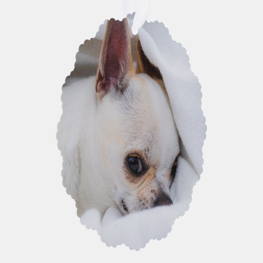あなたのペットカスタム犬の写真chihuahua記念碑 オーナメントカード (右)