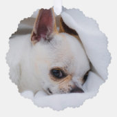 あなたのペットカスタム犬の写真chihuahua記念碑 オーナメントカード (正面)