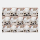 あなたのペットカスタム犬の3 photo chihua patternギフト ラッピングペーパーシート (正面2)