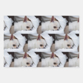 あなたのペットカスタム犬の3 photo chihua patternギフト ラッピングペーパーシート (正面)