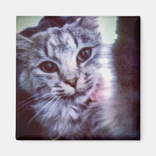 あなたのペットパーソナライズされたマグネット マグネット (正面)