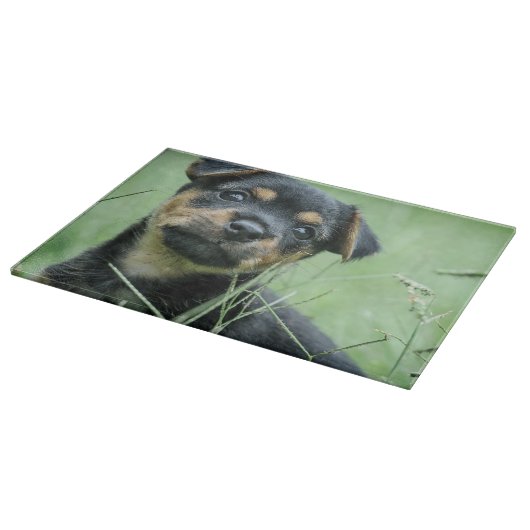 あなたのペット写真パーソナライズされたガラスの切断板 カッティングボード (角)