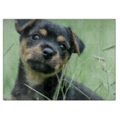 あなたのペット写真パーソナライズされたガラスの切断板 カッティングボード (正面)