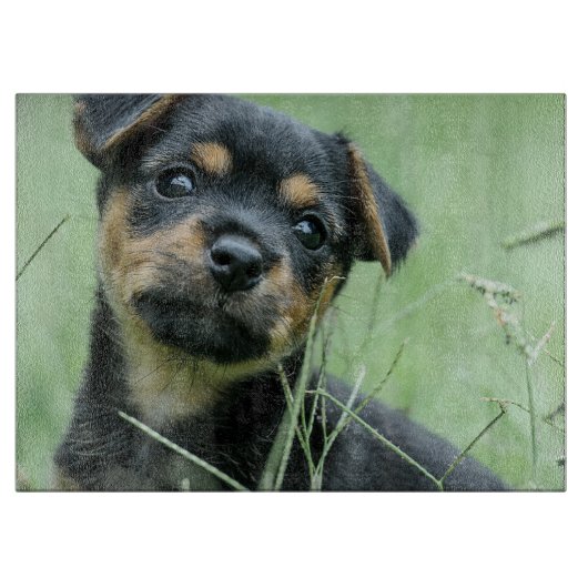 あなたのペット写真パーソナライズされたガラスの切断板 カッティングボード (正面)