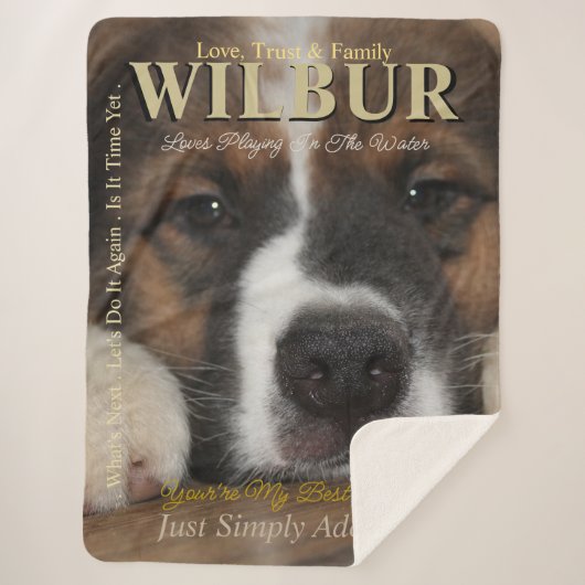 あなたのペット彼らは雑誌のスタイル シェルパブランケット (正面)