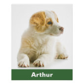 あなたのペット犬の写真パーソナライズされた動物愛好家 ポスター (正面)