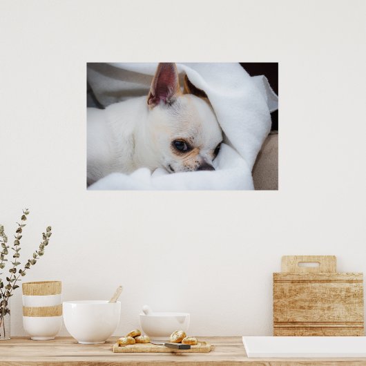 あなたのペット犬の子犬のカスタム写真チワワ ポスター (キッチン)