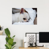 あなたのペット犬の子犬のカスタム写真チワワ ポスター (ホームオフィス)
